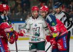 Photo hockey match Grenoble  - Anglet le 01/10/2024