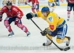 Photo hockey match Grenoble  - Dijon  le 28/10/2014