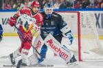 Photo hockey match Grenoble  - Gap  le 24/09/2024