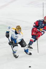 Photo hockey match Grenoble  - Gap  le 30/12/2024