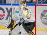 Photo hockey match Grenoble  - Marseille le 04/10/2024