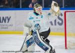 Photo hockey match Grenoble  - Marseille le 21/01/2025