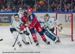 Photo hockey match Grenoble  - Marseille le 21/01/2025