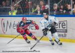 Photo hockey match Grenoble  - Marseille le 21/01/2025