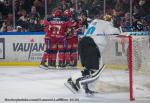 Photo hockey match Grenoble  - Marseille le 21/01/2025