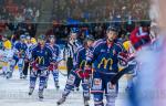 Photo hockey match Grenoble  - Rouen le 17/10/2015