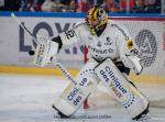 Photo hockey match Grenoble  - Rouen le 22/11/2024