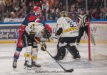 Photo hockey match Grenoble  - Rouen le 22/11/2024