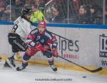 Photo hockey match Grenoble  - Rouen le 22/11/2024