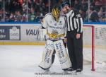 Photo hockey match Grenoble  - Rouen le 22/11/2024