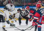 Photo hockey match Grenoble  - Rouen le 22/11/2024