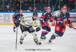 Photo hockey match Grenoble  - Rouen le 22/11/2024