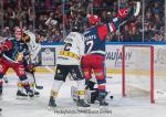 Photo hockey match Grenoble  - Rouen le 22/11/2024