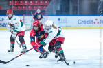 Photo hockey match Grenoble / Fminin - Bordeaux / Fminine le 15/10/2022