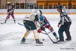 Photo hockey match Luxembourg - Roanne le 28/09/2024