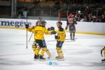 Photo hockey match Mont-Blanc - Chambry le 21/12/2024