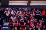 Photo hockey match Morzine-Avoriaz - Montpellier  le 12/11/2022