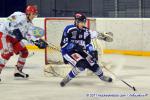 Photo hockey match Nantes - Amnville le 05/02/2011