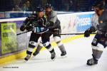 Photo hockey match Nantes - Brest  le 09/09/2017