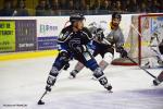 Photo hockey match Nantes - Brest  le 01/11/2017