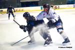 Photo hockey match Nantes - Brest  le 23/01/2021