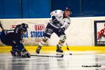 Photo hockey match Nantes - Brest  le 23/01/2021