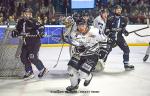 Photo hockey match Nantes - Brest  le 11/03/2023