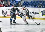 Photo hockey match Nantes - Caen  le 19/03/2022