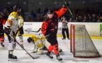 Photo hockey match Nantes - Chambry le 23/02/2019