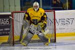 Photo hockey match Nantes - Chambry le 05/03/2022