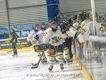 Photo hockey match Nantes - Chambry le 21/04/2024