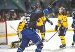 Photo hockey match Nantes - Chambry le 23/11/2024