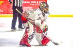 Photo hockey match Nantes - Cholet  le 06/04/2022