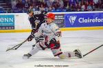 Photo hockey match Nantes - Cholet  le 17/09/2022