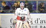 Photo hockey match Nantes - Cholet  le 07/01/2023