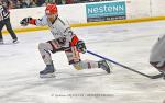 Photo hockey match Nantes - Cholet  le 17/03/2024