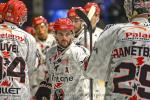 Photo hockey match Nantes - Cholet  le 22/10/2024