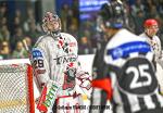 Photo hockey match Nantes - Cholet  le 02/11/2024