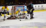 Photo hockey match Nantes - Dunkerque le 10/02/2018