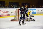 Photo hockey match Nantes - Dunkerque le 10/02/2018