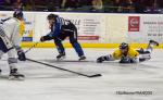 Photo hockey match Nantes - Dunkerque le 05/01/2019