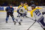 Photo hockey match Nantes - Dunkerque le 05/01/2019