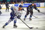 Photo hockey match Nantes - Dunkerque le 10/11/2022