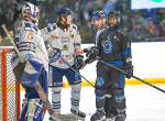 Photo hockey match Nantes - Dunkerque le 30/03/2024