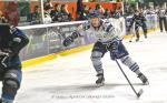 Photo hockey match Nantes - Dunkerque le 30/03/2024