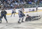 Photo hockey match Nantes - Dunkerque le 31/03/2024