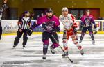 Photo hockey match Nantes - La Roche-sur-Yon le 02/02/2019