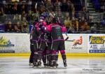 Photo hockey match Nantes - La Roche-sur-Yon le 02/02/2019