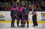 Photo hockey match Nantes - La Roche-sur-Yon le 02/02/2019