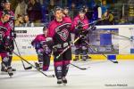 Photo hockey match Nantes - La Roche-sur-Yon le 02/02/2019